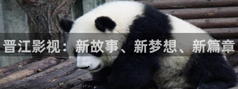 熊猫电影yy8y6：晋江影视：新故事、新梦想、新篇章