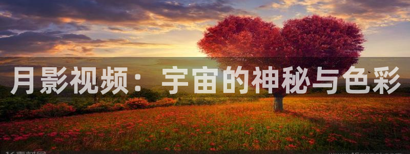 熊猫影视在线观看：月影视频：宇宙的神秘与色彩
