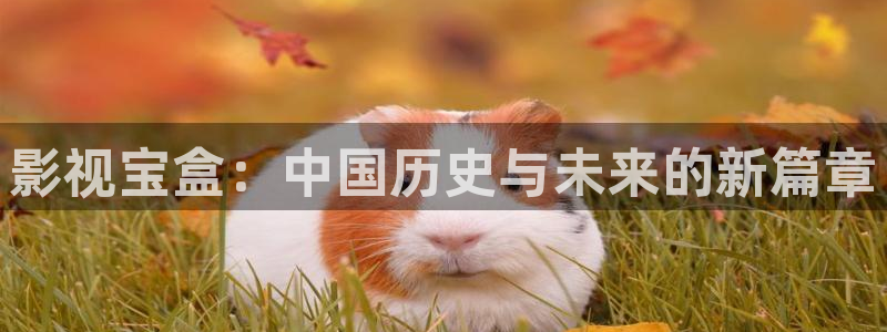 熊猫影院免费观看高清：影视宝盒：中国历史与未来的新篇章