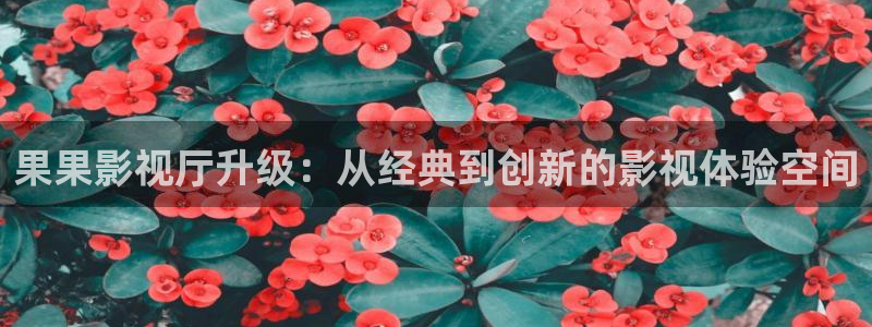 熊猫电影yy7y免费观看高清：果果影视厅升级：从经典到创新的影视体验空间