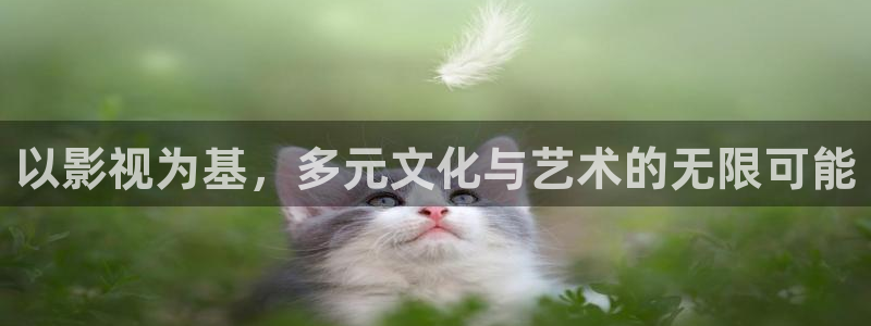 熊猫影院xm66最新版本功能：以影视为基，多元文化与艺术的无限可能