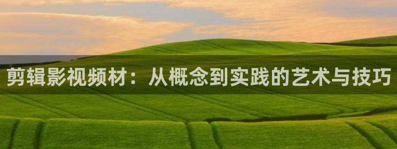 黑熊猫影院：剪辑影视频材：从概念到实践的艺术与技巧